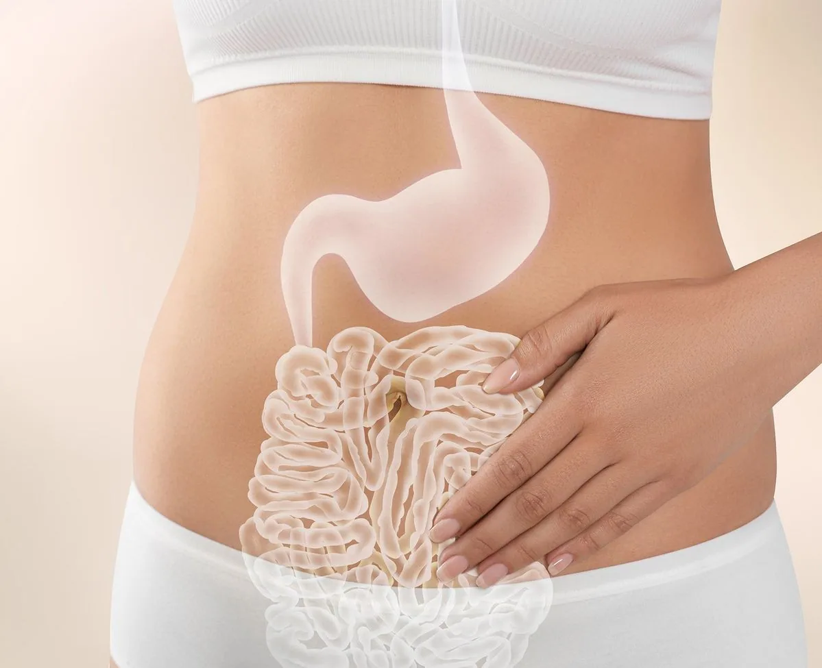Men vi sinh và men tiêu hóa: Hiểu đúng để bảo vệ hệ tiêu hóa hiệu quả