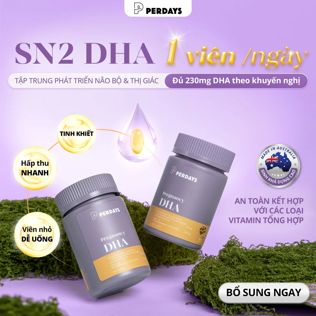 Perdays SN2 DHA vi tảo biển tinh khiết sinh khả dụng cao