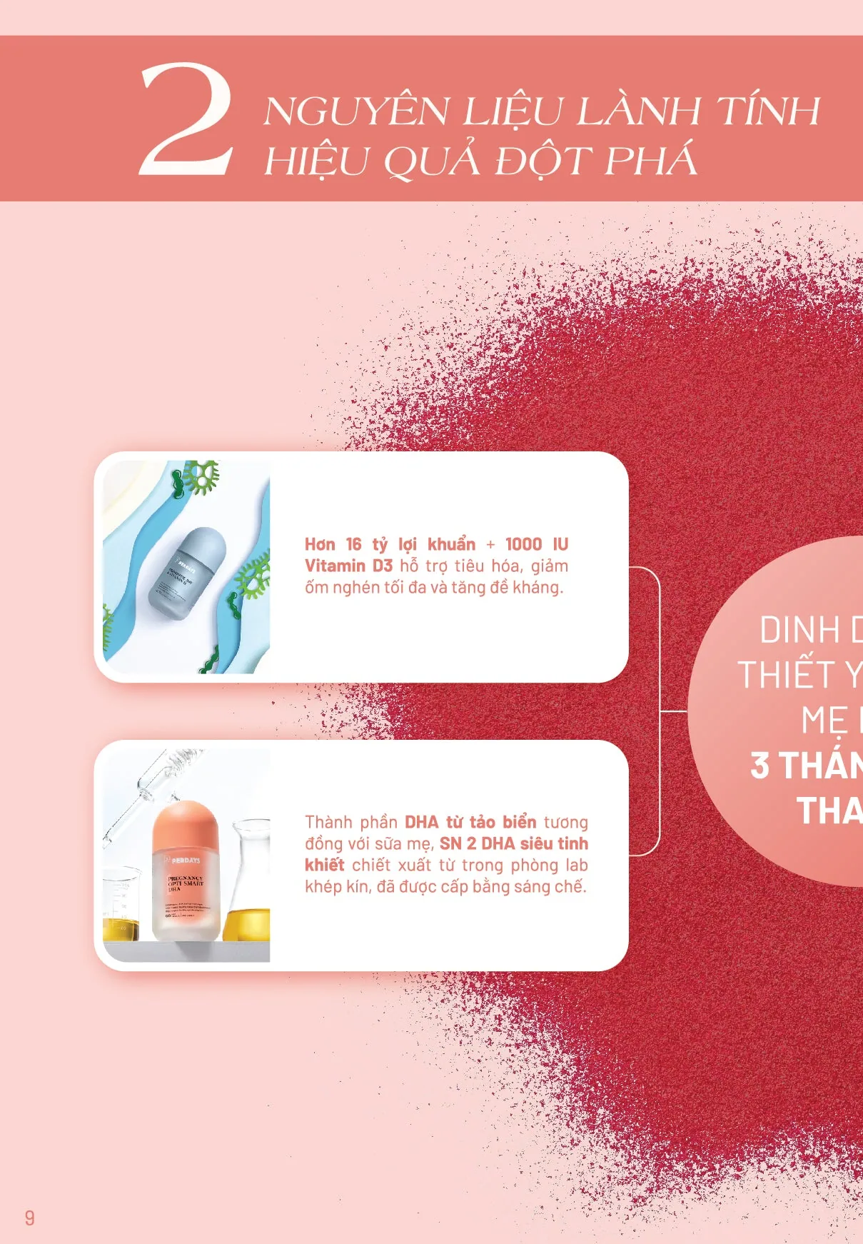 Combo 3 tháng đầu thai kỳ – ảnh 4