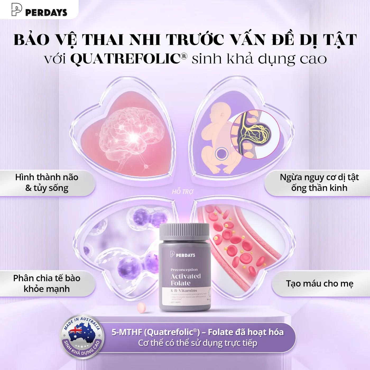 Activated Folate & Vitamin B – ảnh 3