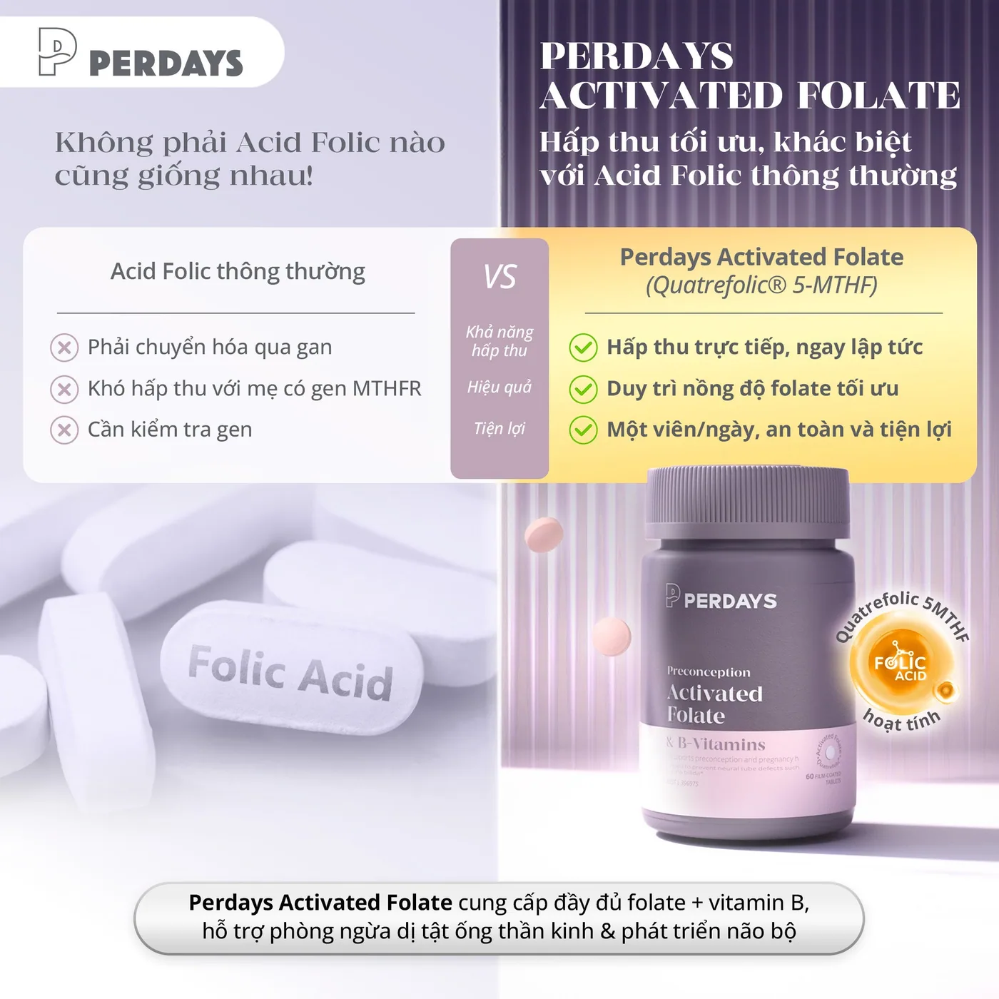 Activated Folate & Vitamin B – ảnh 6